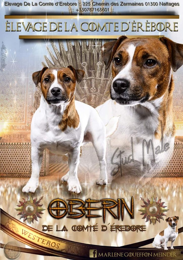 Oberin De La Comté D'Erébore