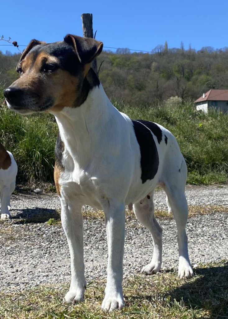 Mila du creux du nant