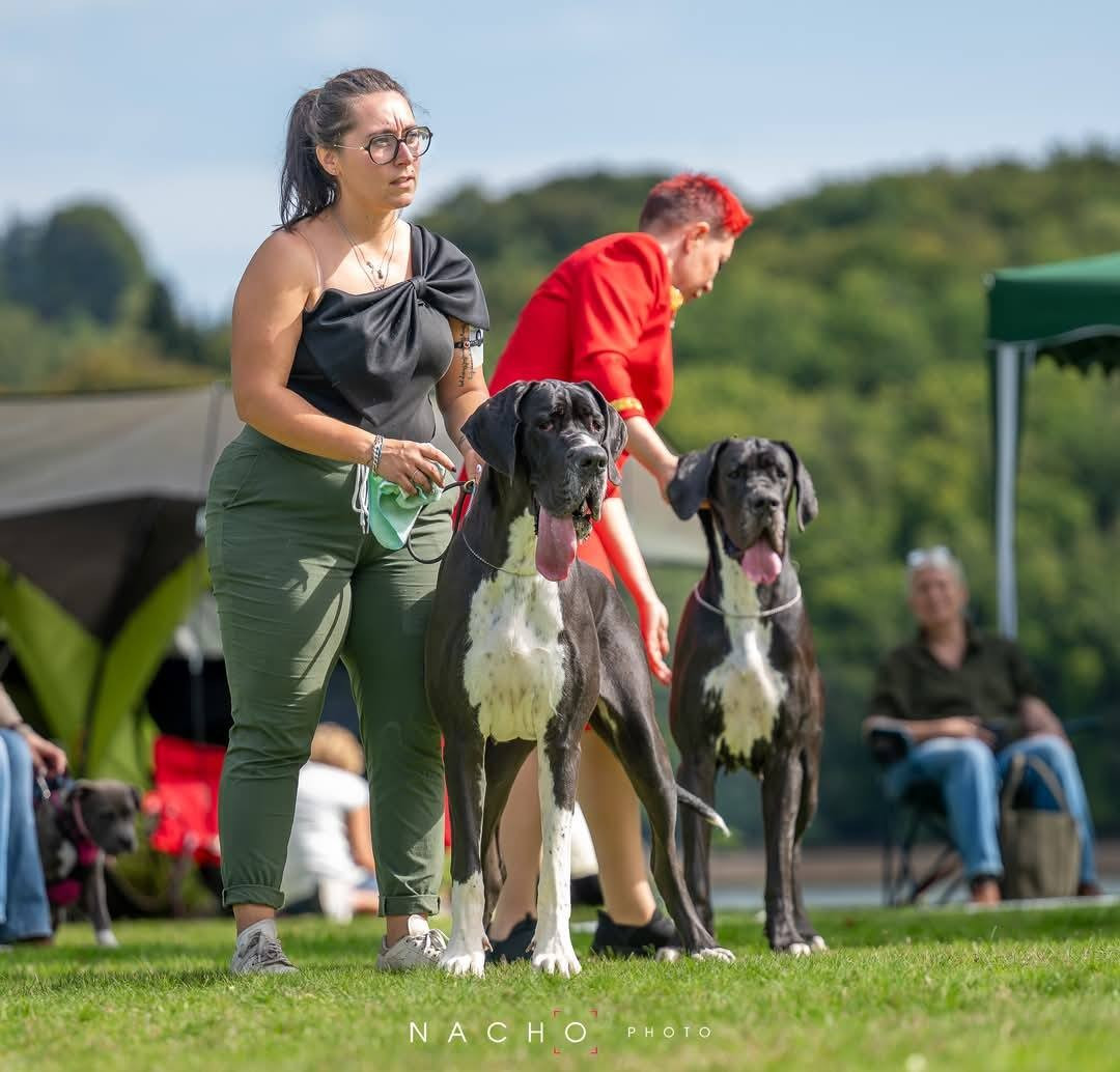 Valinor de l'Outsaïna