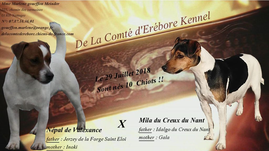 De La Comté D'Erébore - Ils sont nés!!